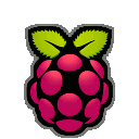 Raspberry Logo