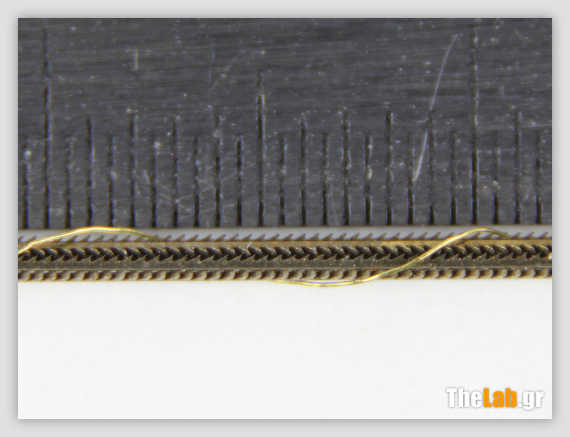 Prionaki_03_IMG_4065_s.jpg?m=1388090336_