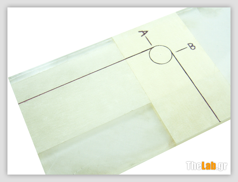 100_0460s.jpg?m=1381855615