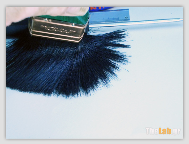 AE_Pinelo_6333_s.jpg?m=1357352057_s