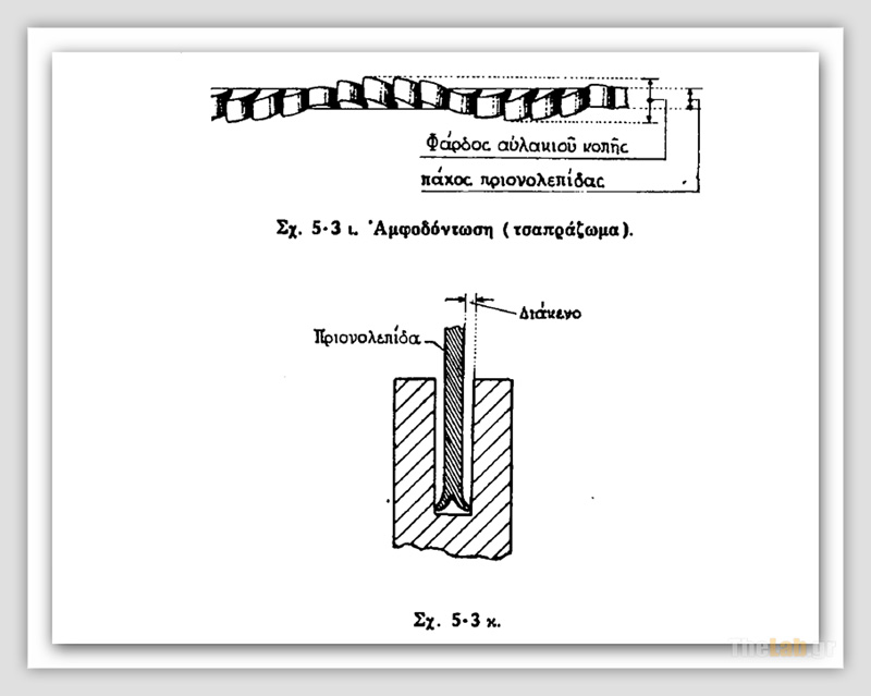 Amfodontosi_Evgenidio_s.jpg?m=1349807810