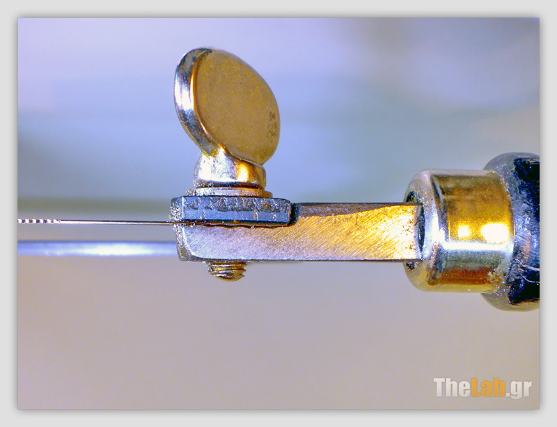 Segaki_Sfiktiras-Lavis_B_DSCN5747_s.jpg?