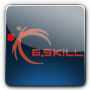 icon-gskill-review.png