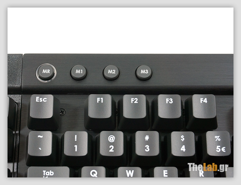 DSC00465s.jpg?m=1389024690