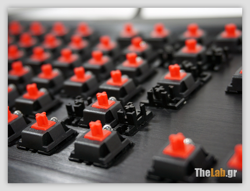 DSC00680s.jpg?m=1389184750