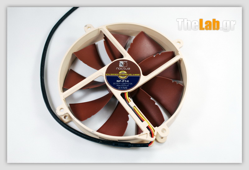fan2_800.jpg