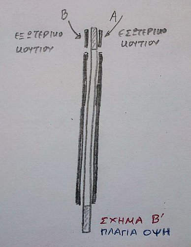 DSC_1791-large.jpg?m=1333901625