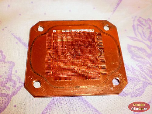 WB_Bougada_B_L_1043372.jpg?m=1357319229