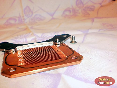 WB_Provlima-Bidas_A_L_1043353.jpg?m=1357319482