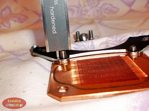 WB_Swsti_Bida_A_L_1043361.jpg?m=1357319384