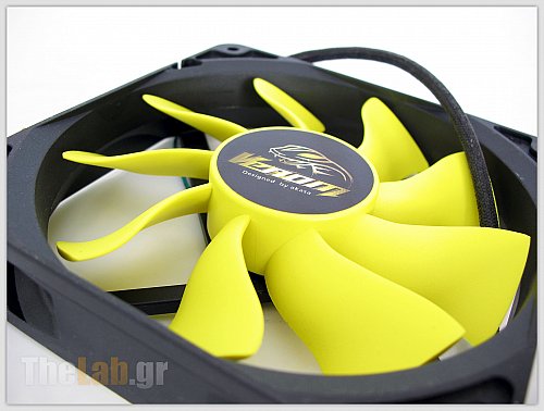 fan1.jpg?m=1310400079