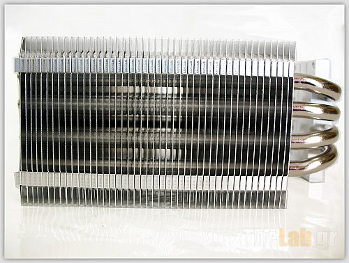 venom2.jpg?m=1310400126