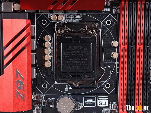 IMG_1071s.JPG?m=1411136432