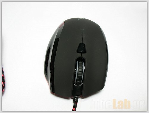 meduza4.jpg?m=1329330620