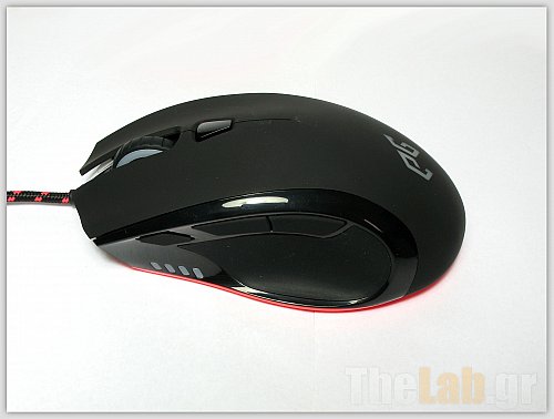 meduza5.jpg?m=1329330624