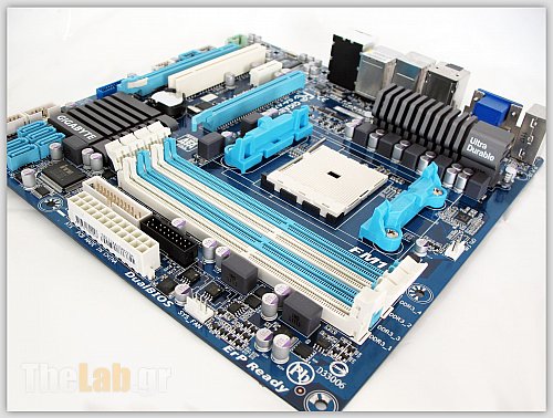 lynx4.jpg