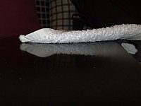 12122011372_1024x768.jpg?m=1385894678