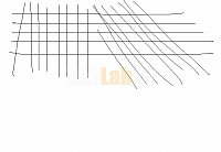 Optical_250hz_1600dpi41.jpg?m=1329499531