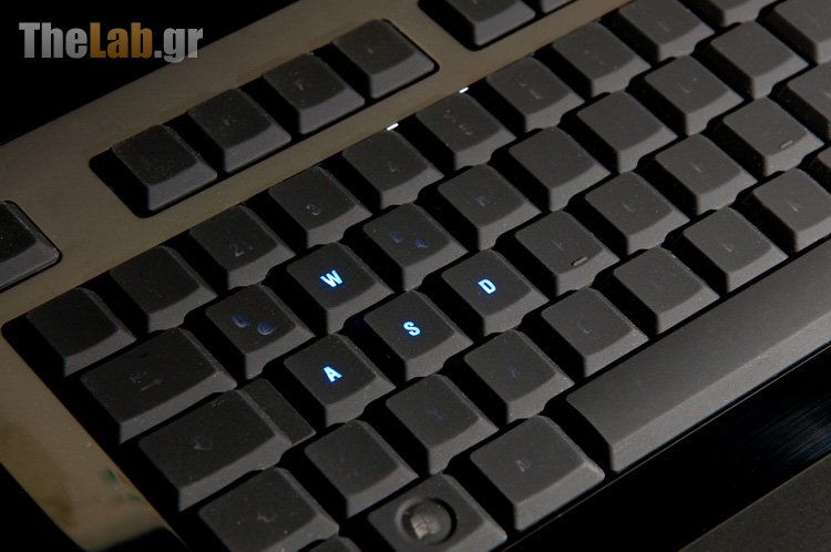 WASD.jpg