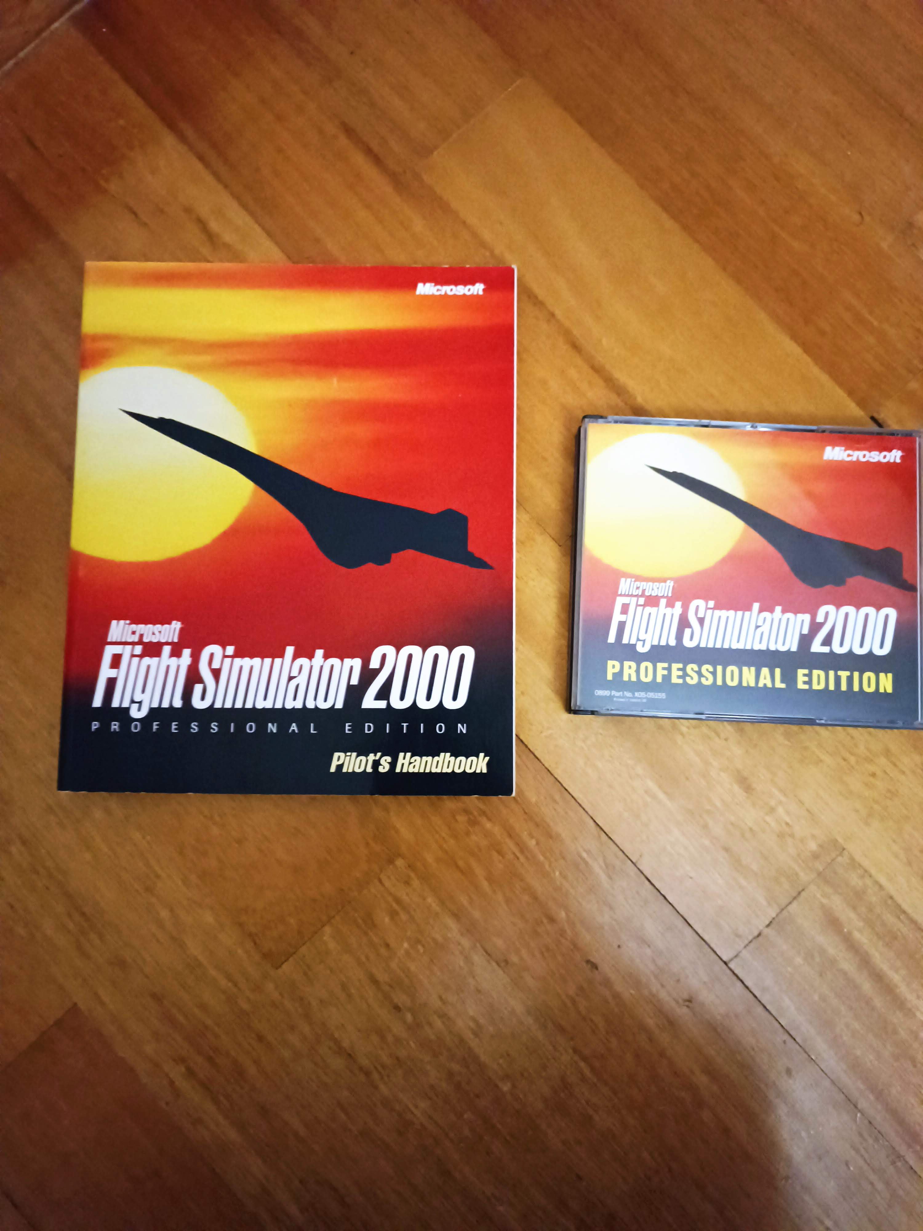 More information about "Flight simulator"