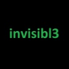 invisibl3
