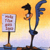 RoadRunner